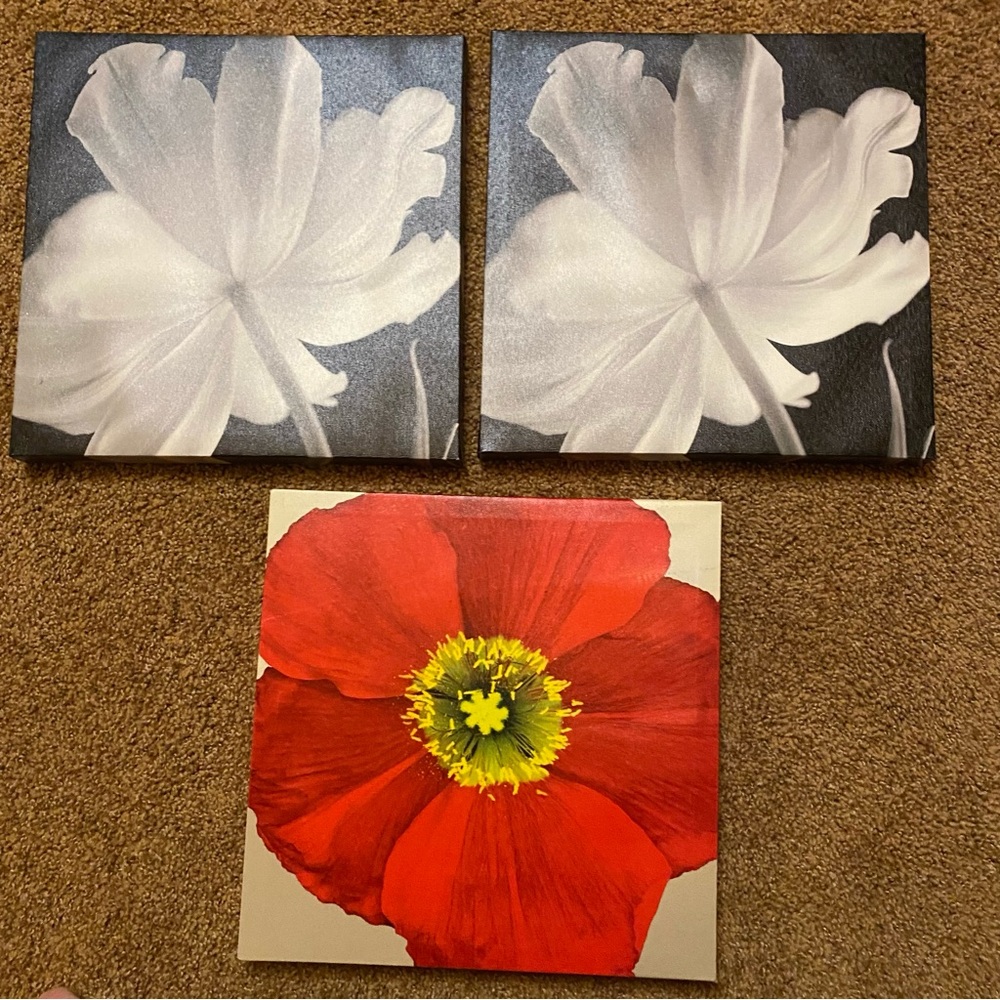 💰3 for $20 - Three Canvasses